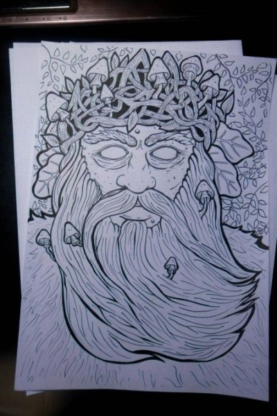 Рисунок к балладе Лесной царь