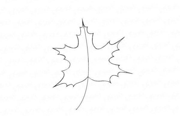 Лист клёна рисунок карандашом