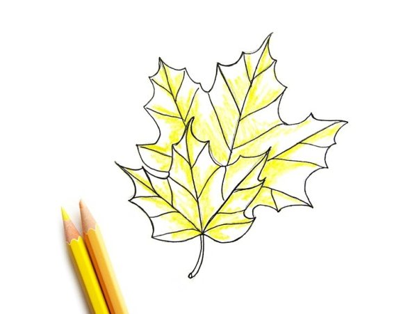 Кленовый лист рисунок карандашом цветным