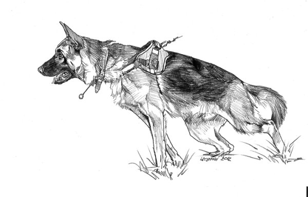 Немецкая овчарка