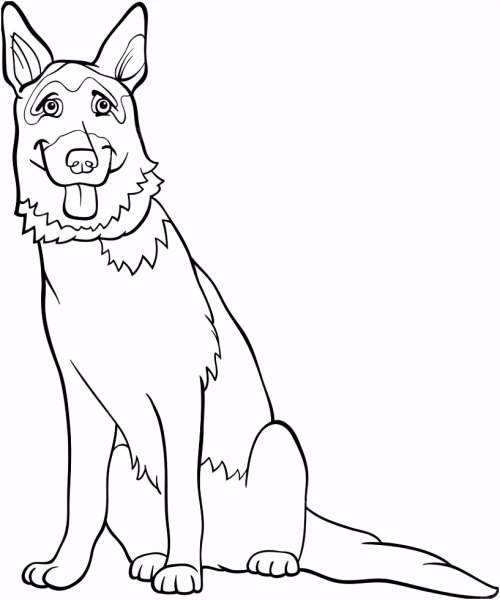 Раскраска немецкая овчарка