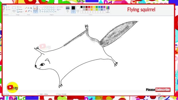 Белка летяга рисунок карандашом