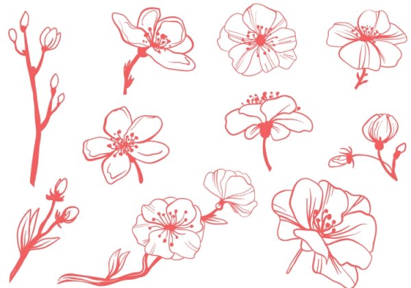 Растения. Раскраска