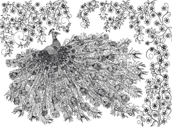 Рамка раскраска