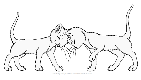 Раскраска 2 котика