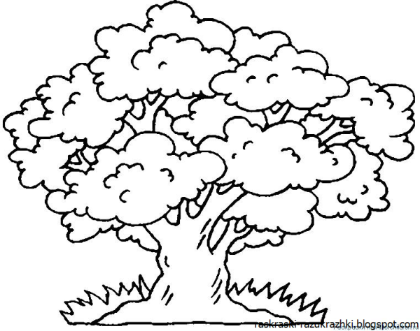 Дерево с корнями раскраска