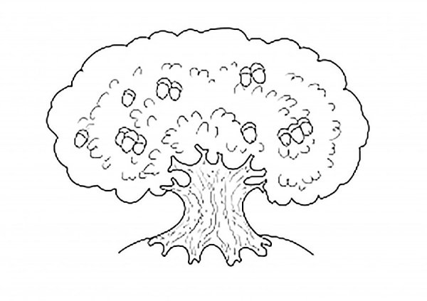 Контур дуба дерева