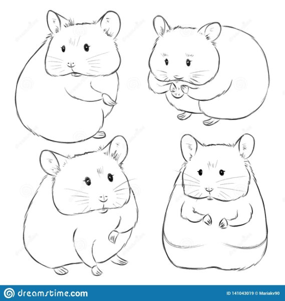 Хомяк рисунок