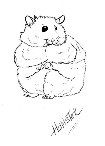 Хомяк рисунок карандашом