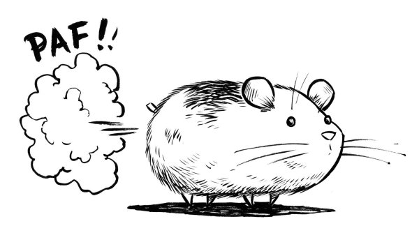 Милые раскраски