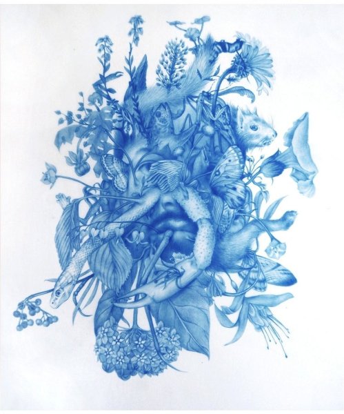 Черника рисунок карандашом