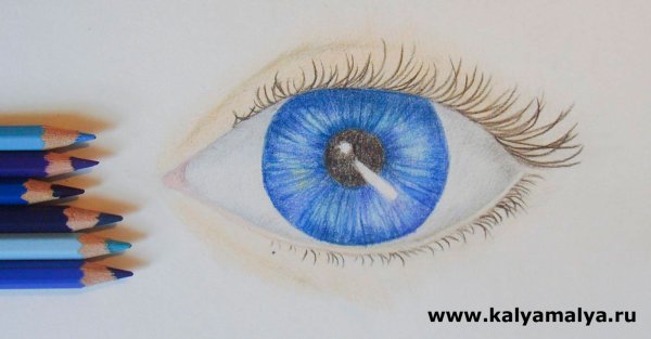 Рисунок кита для срисовки