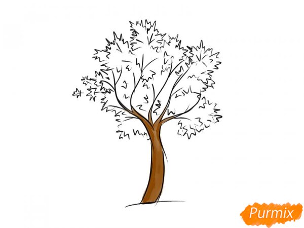 Нарисовать кленовое дерево ребенку