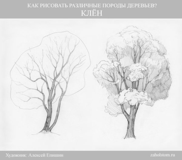 Осенняя раскраска