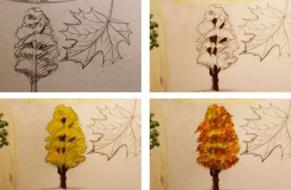 Ветка клена рисунок