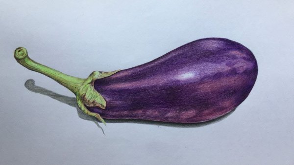 Баклажан карандашом