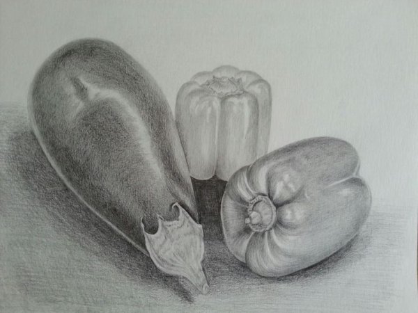 Баклажан раскраска