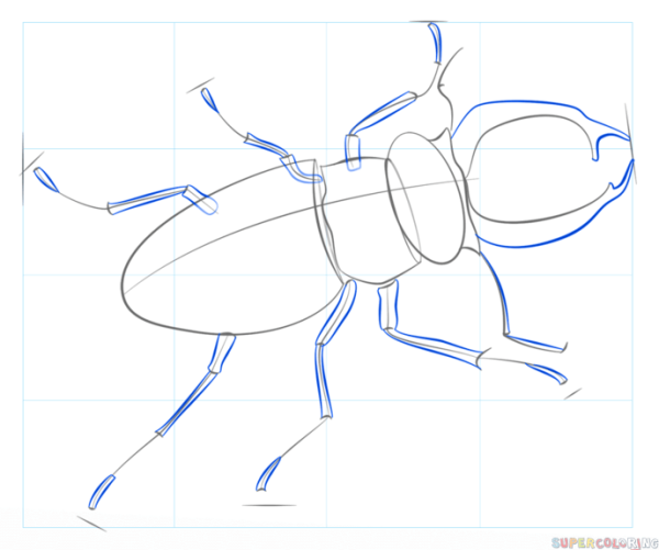 Жук Титан рисунок карандашом