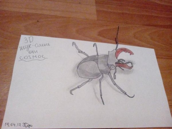 Жук олень нарисовать
