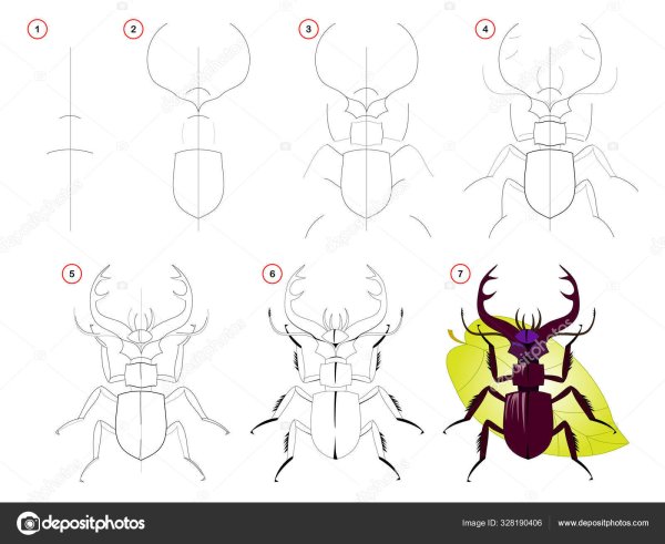 Жук олень тату эскиз