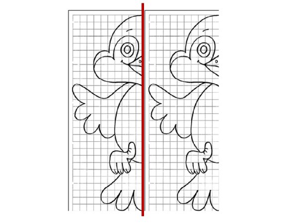 Ось симметрии рисунок