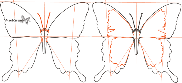 Бабочки для закрашивания