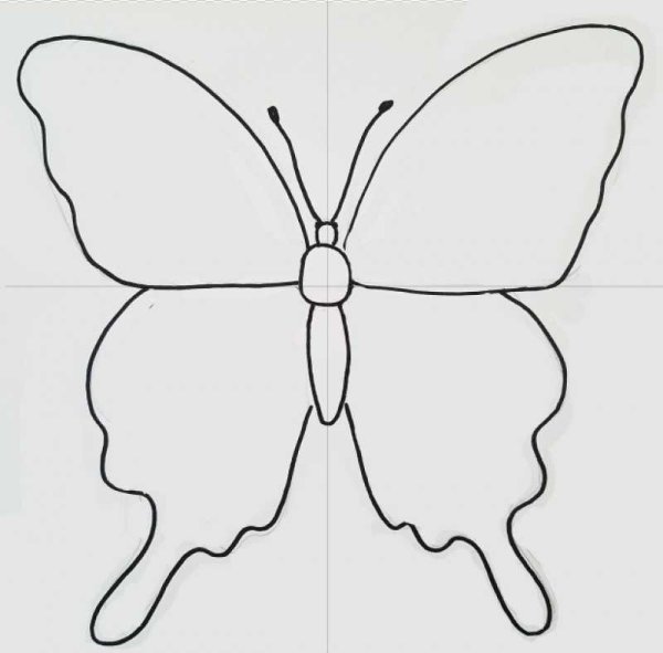 Бабочка Павлиноглазка раскраска