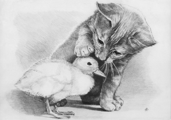 Рисунки карандашом животные