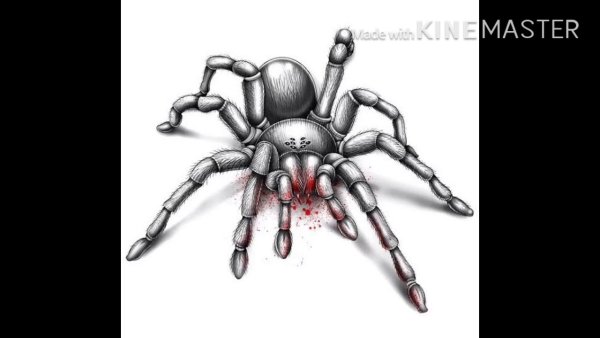 Паутина раскраска