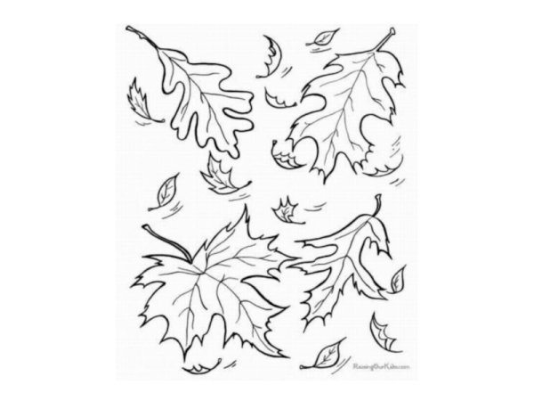 Осенние листочки раскраски для детей 6-7 лет