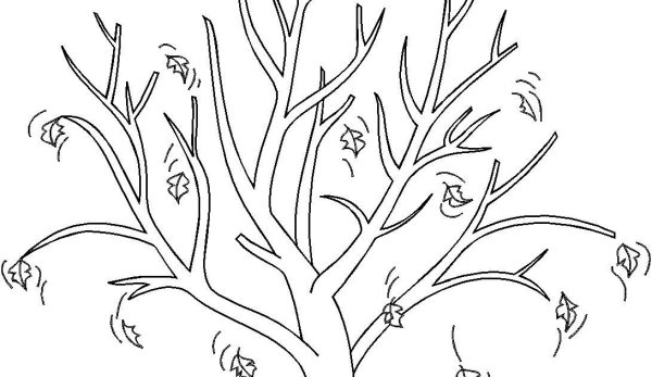 Зарисовка осенних листьев карандашом