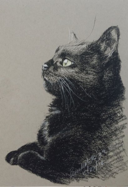 Уголь для рисования