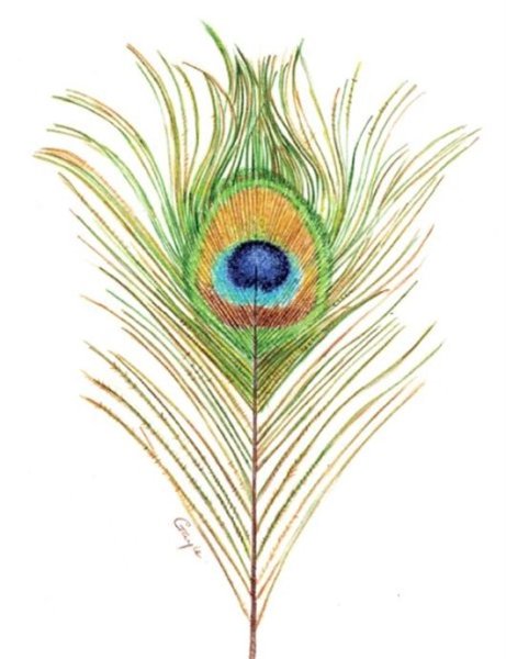 Перья Жар-птицы