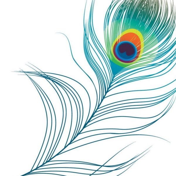 Перья Жар-птицы