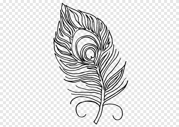 Перо Жар птицы раскраска