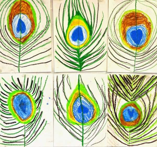 Перо павлина нарисовать