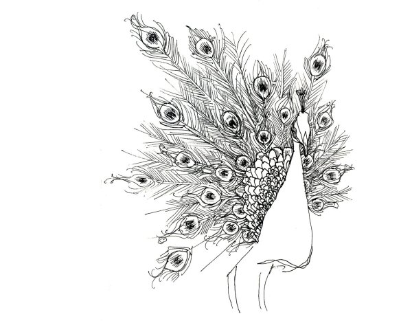 Павлин скетч