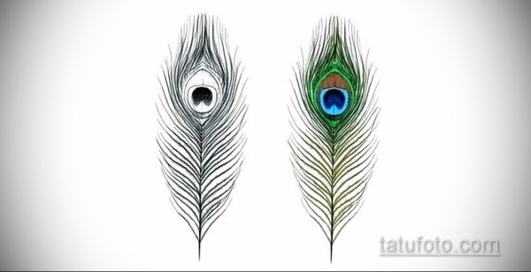 Перья павлина туториал