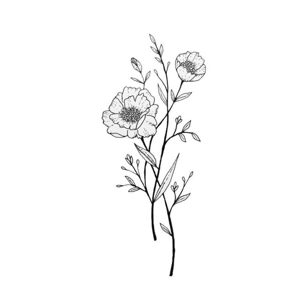 Лютик едкий строение