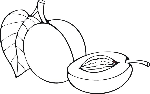 Абрикос раскраска для детей