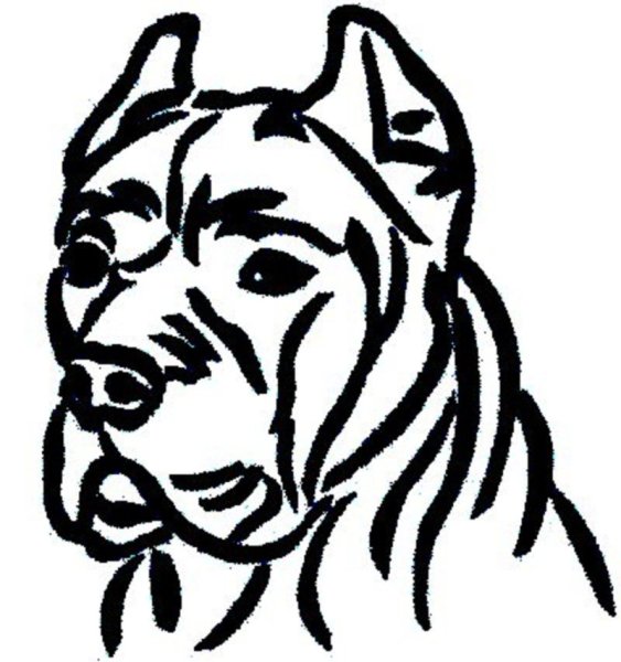 Рисунок собаки Кане Корсо