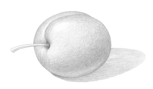 Слива простым карандашом