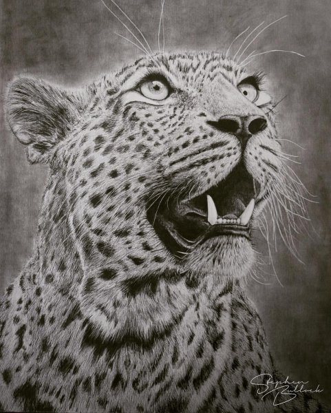 Леопард пошаговое рисование для детей