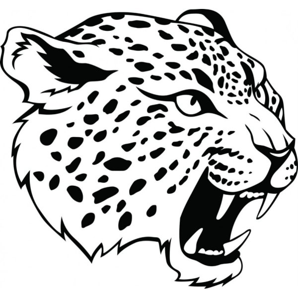 Ягуар раскраска для детей