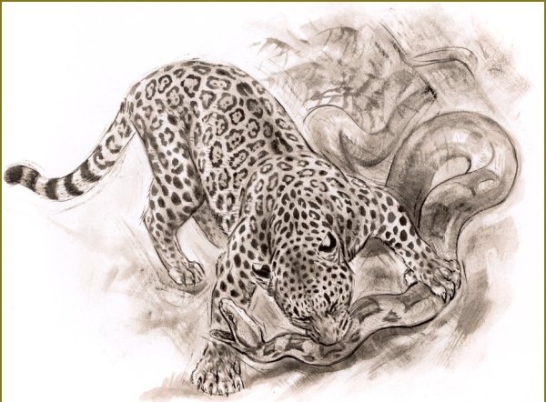 Голова леопарда