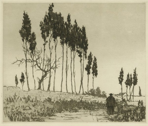 Поленов Кипарис