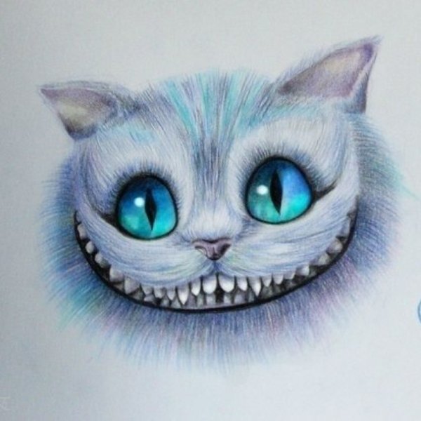 Чеширский кот рисунок для срисовки