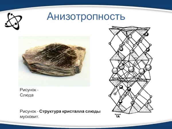 Строение слюды