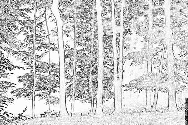 Горы раскраска для детей