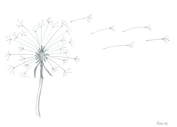 Поэтапное рисование одуванчика